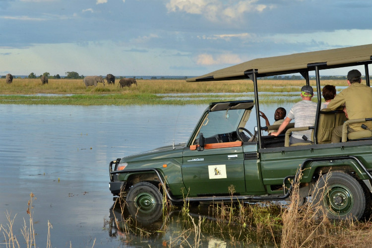 thebe river safaris